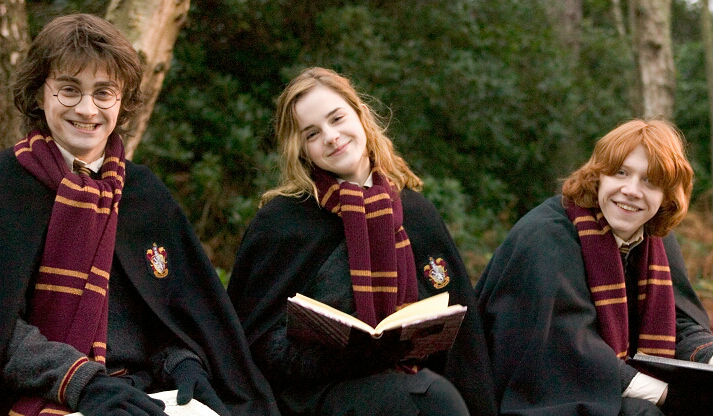 Harry Potter Hermione Granger Chamber Of Secrets Hp